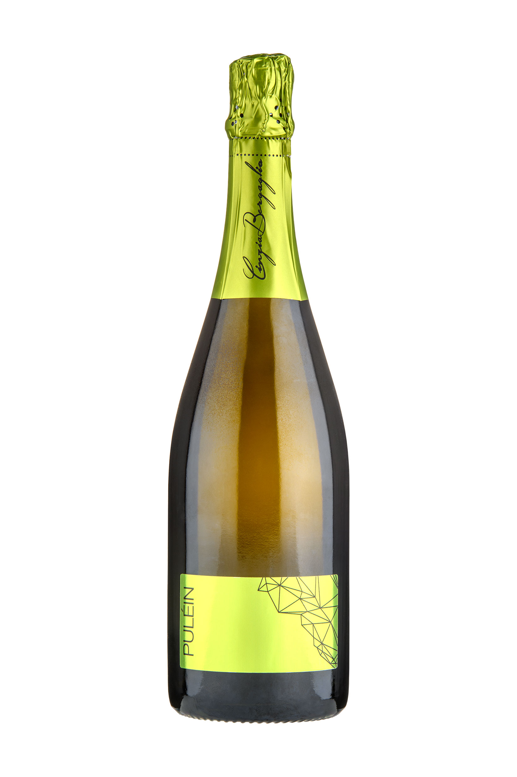 Brut Pulèin Cinzia Bergaglio