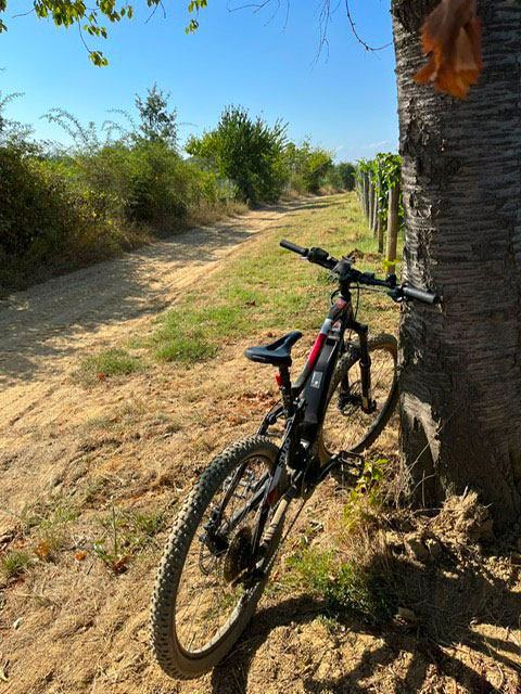 Giro in e-bike con degustazione Cinzia Bergaglio